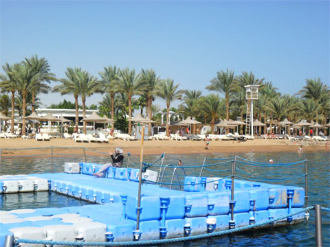 Пляж в отеле Dessole Seti Sharm
