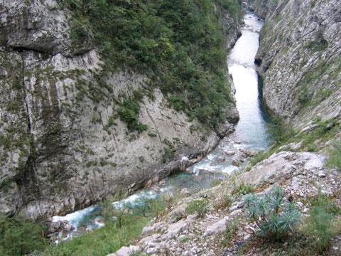 Река Тара в Черногории