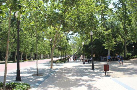 Центральная аллея в парке Кастельона