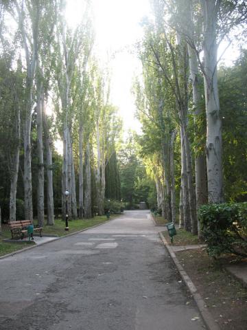 Парк санатория Крым