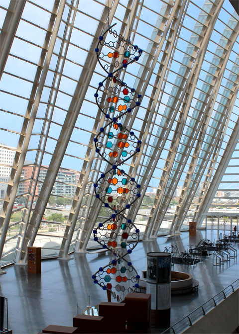 Модель молекулы ДНК