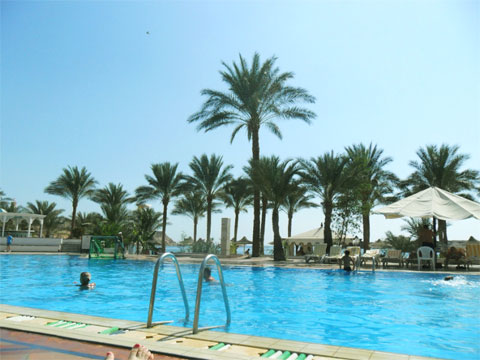 Бассейн в отеле Dessole Seti Sharm