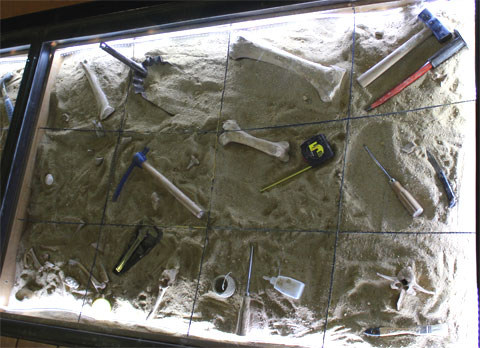 Инструменты палеонтологов